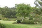 Arthurs Creekresidential-landscaping-40.jpg; ?>
